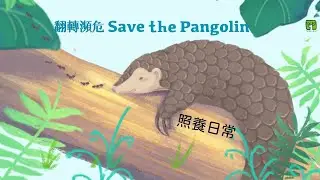【翻轉瀕危！Save the Pangolin】照養日常