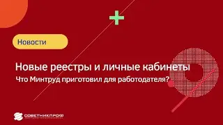 Новые реестры и личные кабинеты: что Минтруд приготовил для работодателя? 