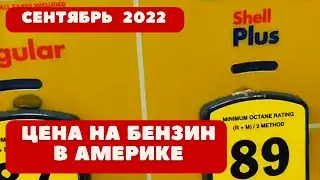 Бензин в Америке сегодня. Цена😲