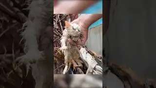 ХРАНИ ГОСПОДЬ ТАКИХ ЛЮДЕЙ😭