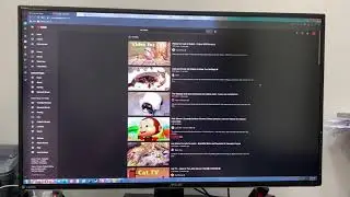 ASUS PA329Q 32” 4K monitor - Screen defect