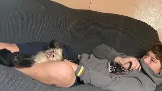 Matching Couch Potatos Ronnie Bullock and His Capuchin Little LueLue
