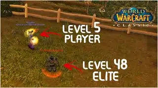 This New Classic WoW Players Had a Little... Different Experience