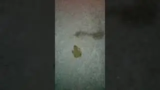 17 марта 2021 г.