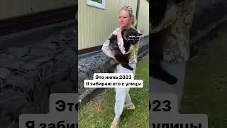 Написала свои мысли про мейнкунов 👇 в комментах. Присоединяйтесь. 