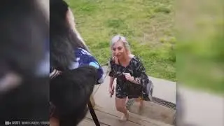Animals Reunited With Owner After Years