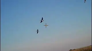 õrdak ovi охота на утка