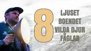 8 saker som jag kollar upp innan en fotoresa.