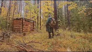 HOW DID A TAIGA HUT SURVIVE A HURRICANE? IN THE FOREST AFTER THE STORMY! GOLDEN AUTUMN IN THE TAI...