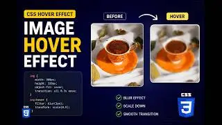 CSS Image Hover Effect Tutorial 🔥 | Blur + Scale Hover Animation