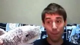 Shark Friend, the sequel