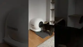 ✨арт. OZON 1730780029 СКИДКА в описании