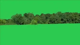 Tree green screen video, Green screen tree, tree green screen effect kinemaster, P-37
