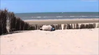 Заставь дурака "достучаться до небес"