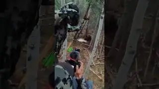 GIANT GRIZZLY Stick Bow Hunt 😳 | Josh Bowmar’s Grizz Hunt| 