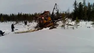 Геологоразведчики утопили два бульдога в болоте.