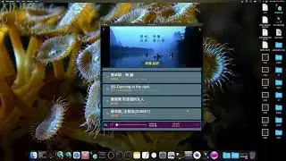 Flutter Media Kit Plugin for Video Playback