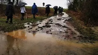 Marche humide à Pontpierre 08 02 24