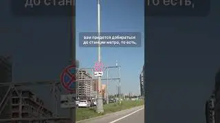 Мы по беспределу  #shorts