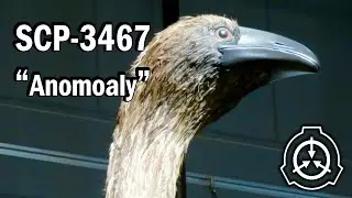 SCP-3467 