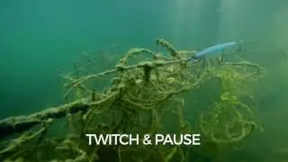 Swimming Action: Rapala Shadow Rap