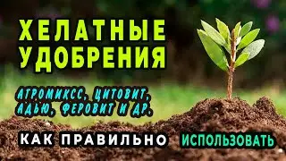Хелатные удобрения Как правильно использовать. Нюансы и рекомендации