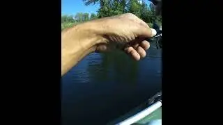 Она за перекатом.   Рыбалка на спиннинг.