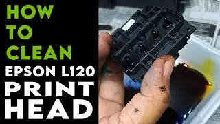 HOW TO CLEAN CLOGGED EPSON PRINTHEAD | EPSON | PRINTHEAD L120