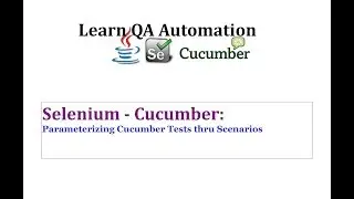 How to Parameterize Test Data thru Cucumber Test Part I