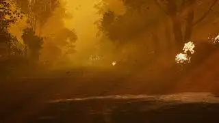 Forest fire scene