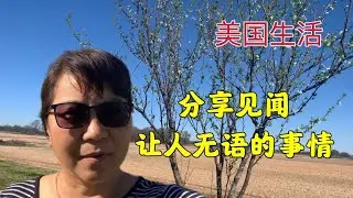 491 美国生活：分享见闻，让人无语的事情