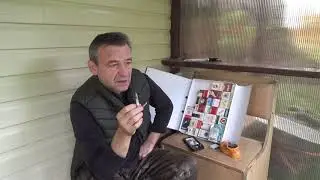 Северная Пальмира из СССР