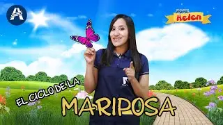 Conoce el Ciclo de la Mariposa