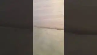 Упал из тележки (Цензурная)