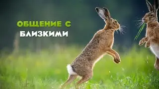 Почему вам так тяжело общаться с близкими?