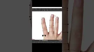 3d hand fingers modeling in blender-mds design 