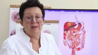 Как не допустить высокого холестерина и как его снижать? [Шишова О.И.]