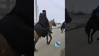 Терские казаки едут на масленицу  2021