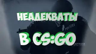 CS:GO | Неадекваты в cs:go