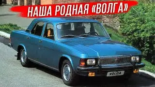 GAZ-3102: history of creation