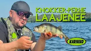 Knokker-perhe laajenee