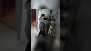 REAL LIFE SUPERHEROES CAUGHT ON CAMERA! 