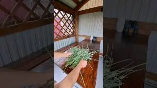 Любимое блюдо бандитов в лихих 90 годах.  Bandits dish, the secret of delicious food,
