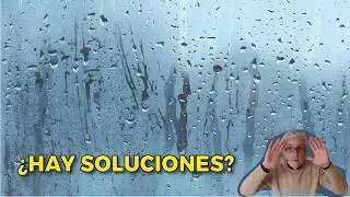 💦 HUMEDADES en Paredes: NADIE cuenta Esto...