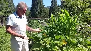 Macro Tote Garden update. Rain Air Pot Gardening Organic made Easy