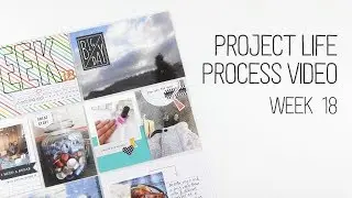 Week 18 Project Life Process