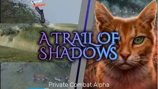 A Trail of Shadows playtest / Combat Private Alpha / UNREAL ENGINE 5 GAME