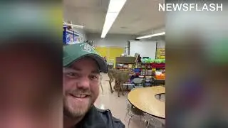 Randy Buck Breaks Into Primary School And Wrecks Classroom After Chasing Female Deer
