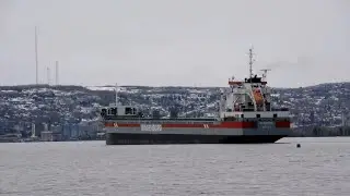 VLIEBORG Bound for Gavilon