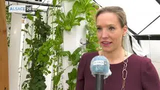 MOLSHEIM : Myfood, des serres connectées pour s'alimenter toute l’année !